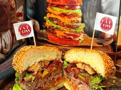 -FAT COW(静安寺店)