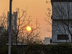 -湖锦酒楼·湖北菜(八一路店)
