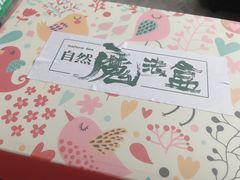 -石家庄市植物园
