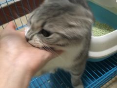 -芭比堂动物医院(广州爱宠下渡路分院)