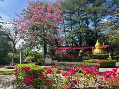 -广州神农草堂中医药博物馆