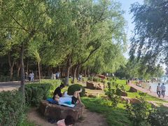 -丁香湖公园