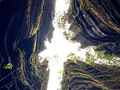 -梭布垭石林景区