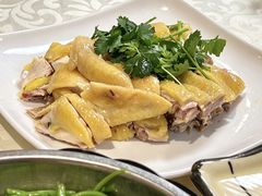 -黄B湛江鸡饭店(粤垦路店)