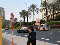 -影汇之星8字形摩天轮