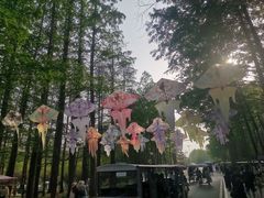-日照海滨国家森林公园