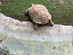 -广州长隆飞鸟乐园