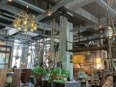 -Africafe(非洲咖啡)