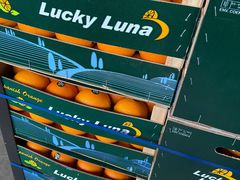 -东方鼎信农副产品交易中心