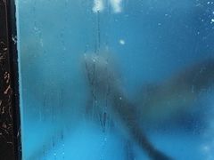 -川流不息·地道川菜·小龙虾(新松江路店)