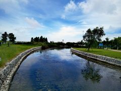 -鹦鹉洲湿地公园