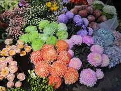 -双季花艺园艺市场(浦东店)