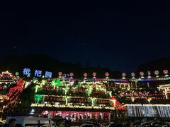 -枇杷园食为鲜火锅(南山店)