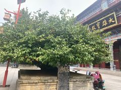-章华寺
