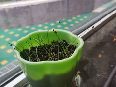 -伊顿幼儿园(济南大地锐城校区)