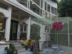 -有猫主题·治愈系猫咖(曾厝垵店)