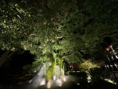 -普陀山雷迪森庄园