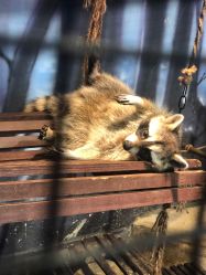 -酷嗒动物文化乐园(cutezoo西溪乐天城店)