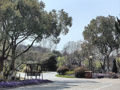 -善卷洞风景区