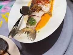 -津菜典藏(天津之眼店)