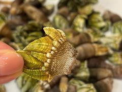 白灼狗爪螺-万山楼海鲜酒家·二十三年老字号