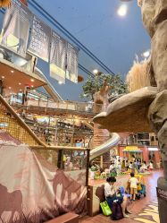 -卡通尼·Safari非洲探索乐园·生日会(金桥国际商业广场店)