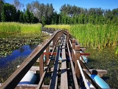 -溱湖国家湿地公园