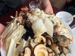 -野菌皇海景野生菌火锅(滨海大道店)