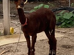 -美家乐农庄·露营·团建(大治路店)