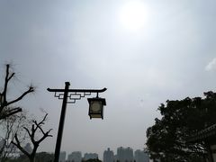 -江心屿景区