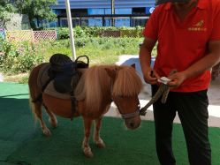 -萌宠亲子动物乐园(槐房万达店)