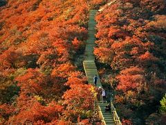 -水峪民俗村