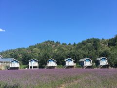 -紫海香堤香草艺术庄园