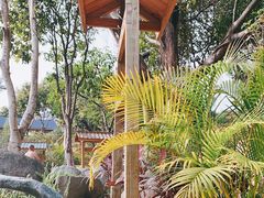 -龙佳生态温泉山庄