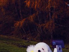 -硗碛藏寨·神木垒景区