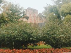 -秦皇岛野生动物园