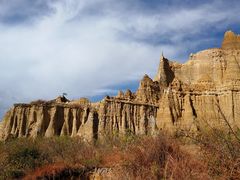 -元谋土林景区(物茂土林)