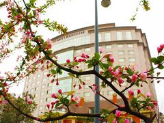 -神仙树公园