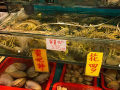 -鲜入围煮花胶鸡海鲜火锅