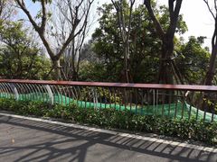 -飞凤山奥体公园