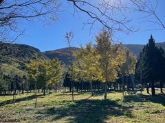 -阳台山自然风景区