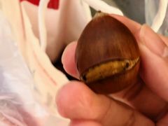 -杨记板栗(天虹总店)