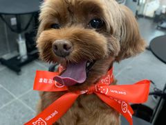 -宠物家(大兴旧宫店)