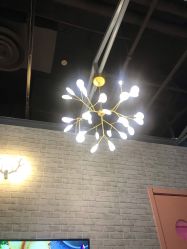 -doladola(徐家汇店)