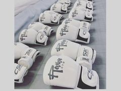 -EFL巴西柔术·综合格斗·泰拳·少儿体能训练(虹桥德必馆)
