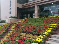 -青岛市图书馆