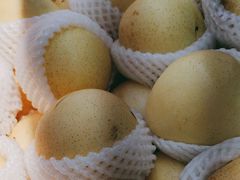 -世纪联华(外高桥店)