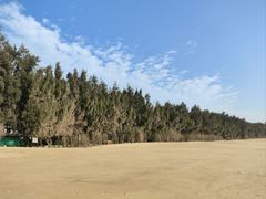 -马銮湾景区