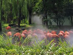 -石家庄市动物园