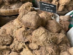 -大象粑粑造纸公园